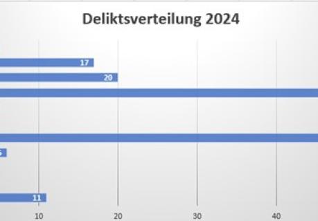 Deliktsgrafik 2024